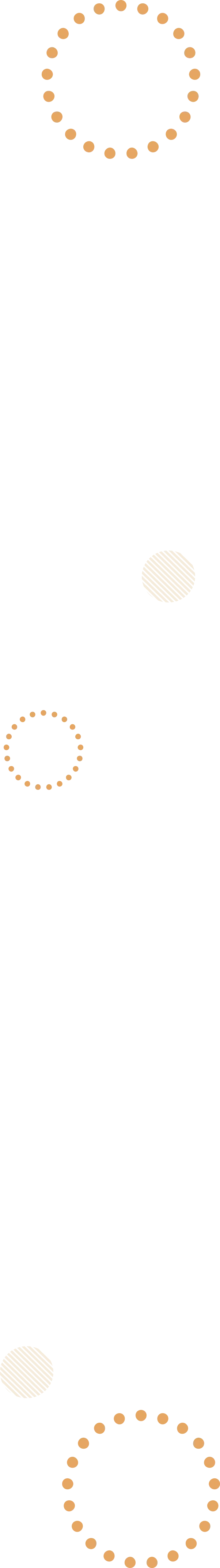 背景の装飾画像右