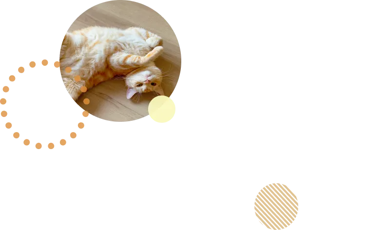 背景画像の装飾