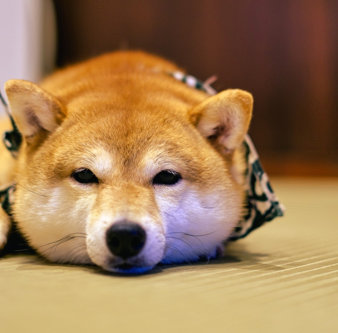 人のアイコン